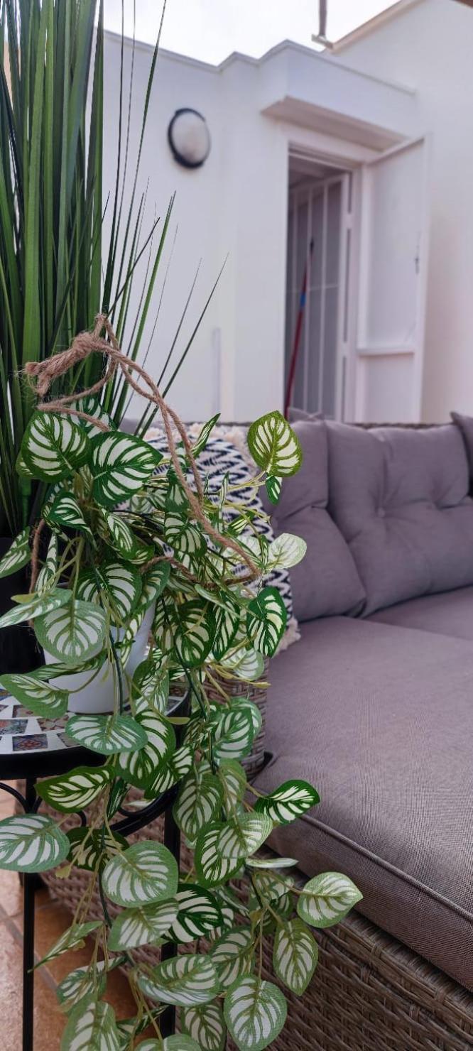 Apartamento Casa De Alba Cabo Cervera La Mata 또레비에하 외부 사진