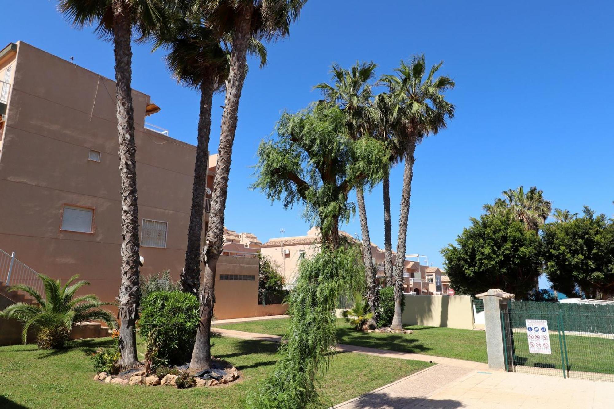 Apartamento Casa De Alba Cabo Cervera La Mata 또레비에하 외부 사진