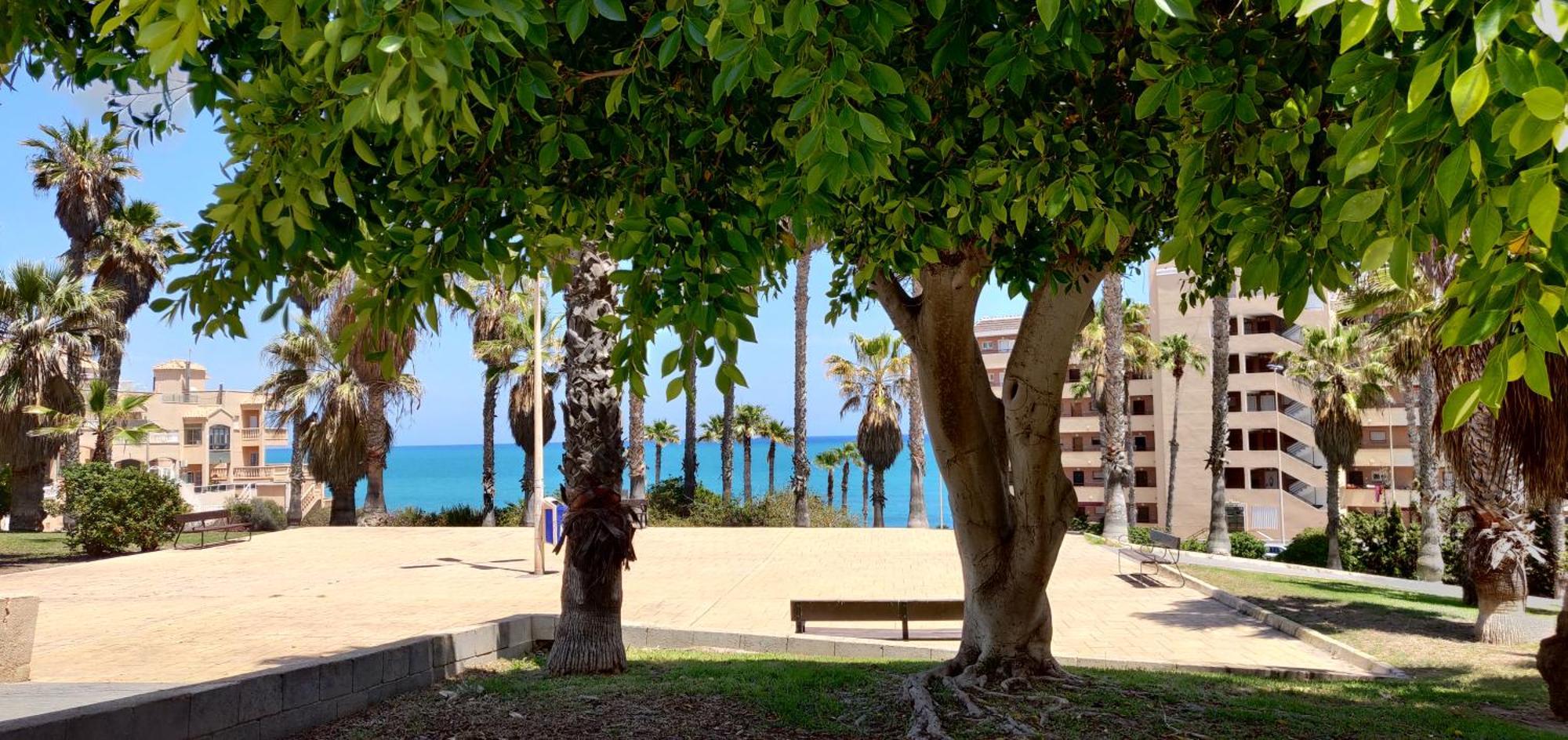 Apartamento Casa De Alba Cabo Cervera La Mata 또레비에하 외부 사진